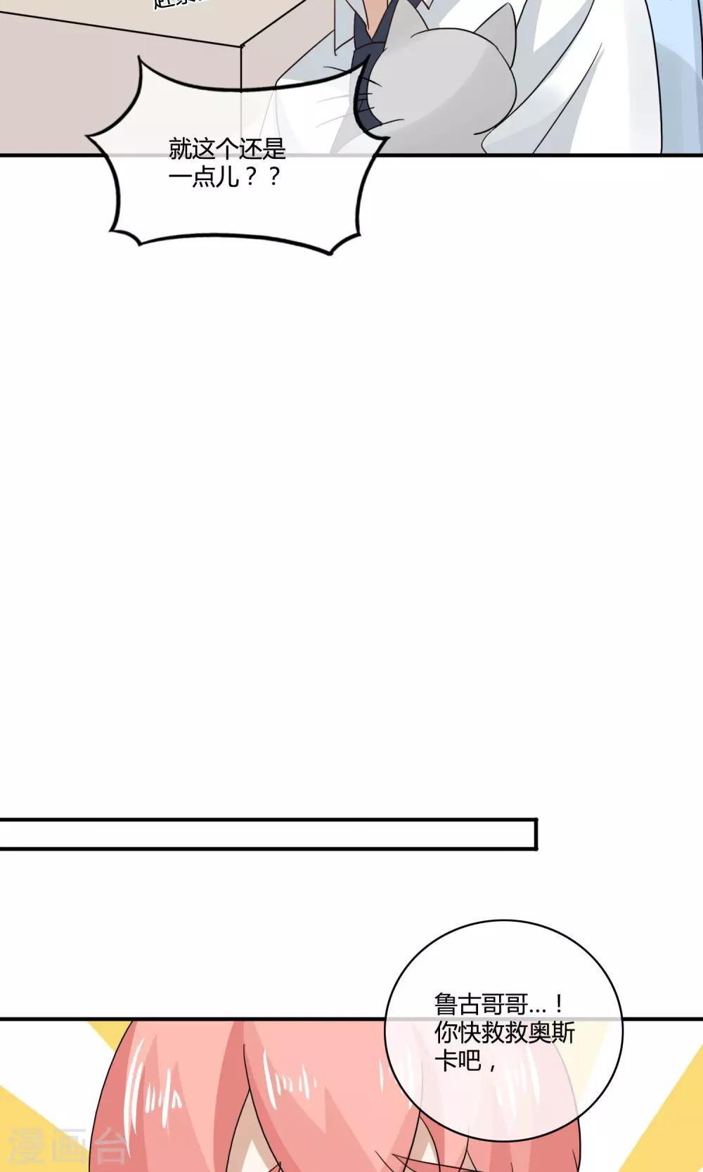 第4话 诱猫计划-第5话