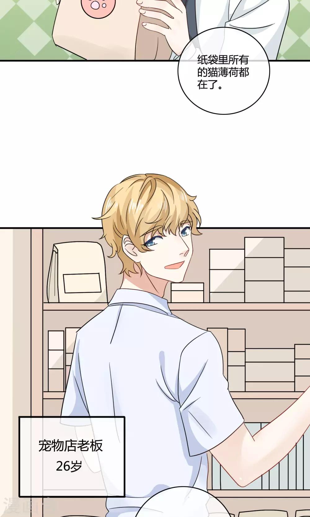 第4话 诱猫计划-第5话