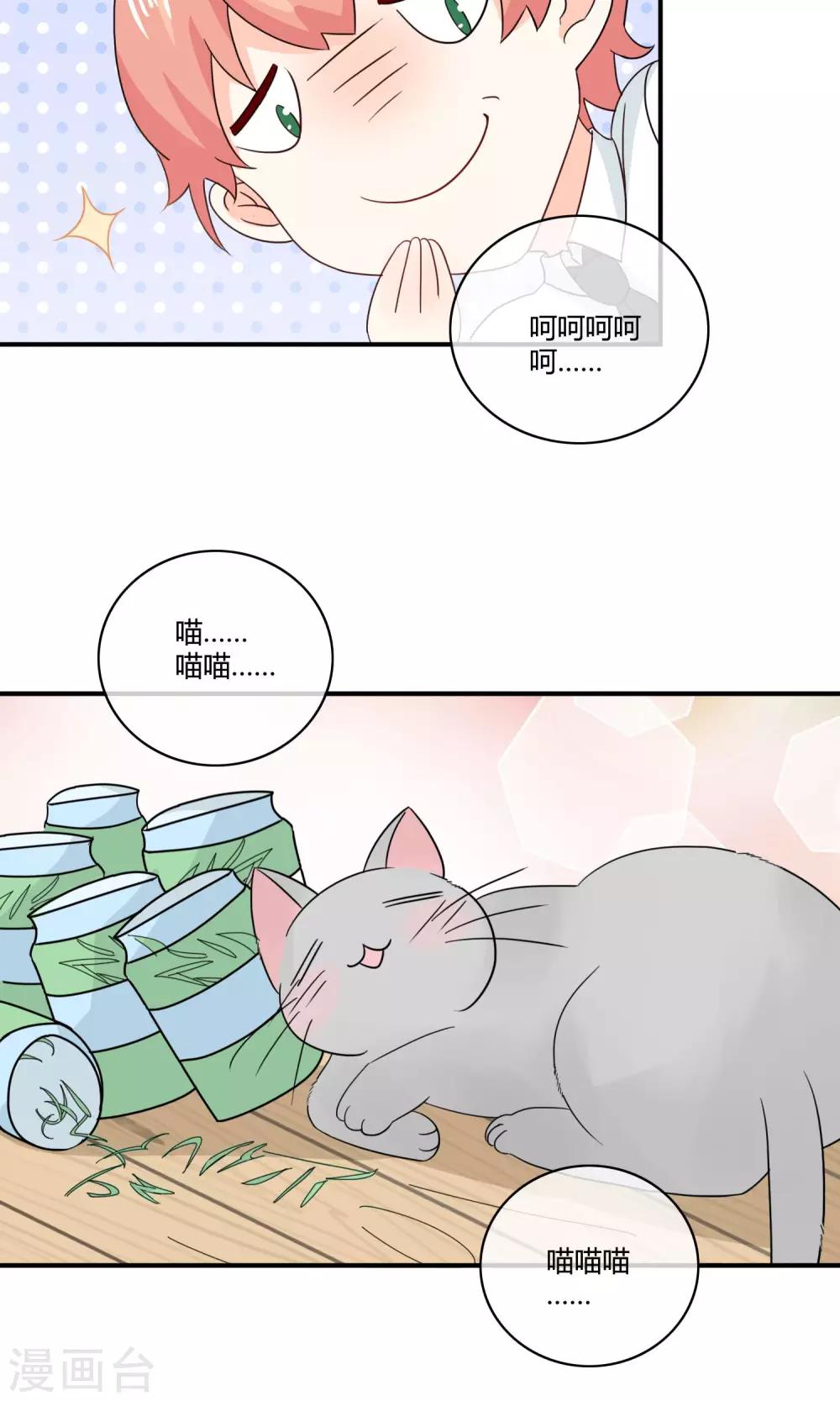 第4话 诱猫计划-第5话