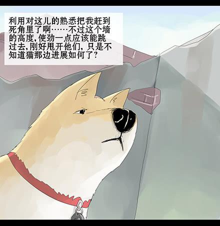 正传-第十七话-第17话