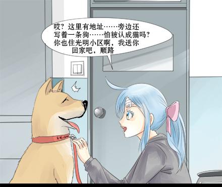 正传-第五话-第5话