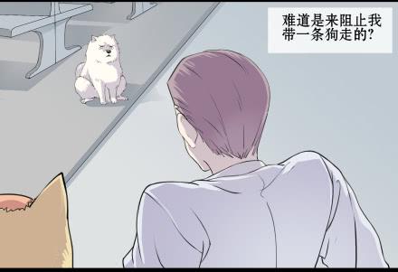 正传-第五十三话-第53话