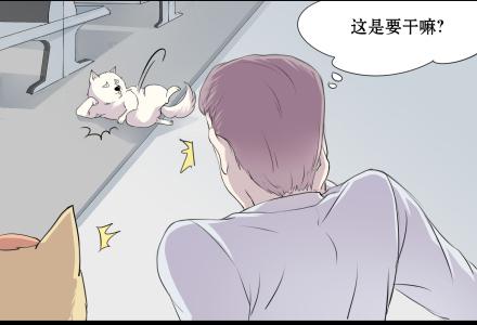 正传-第五十三话-第53话