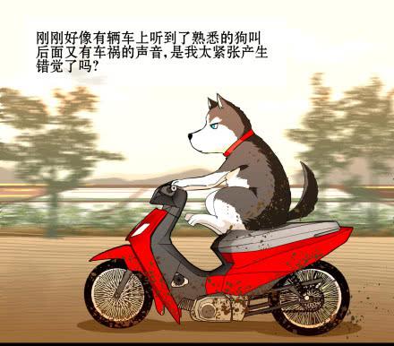 正传-第六十四话-第69话