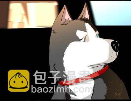 正传-第六十四话-第69话