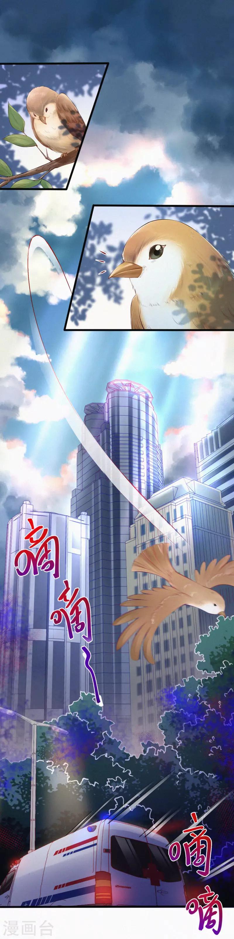 全一话(1/2)-第1话