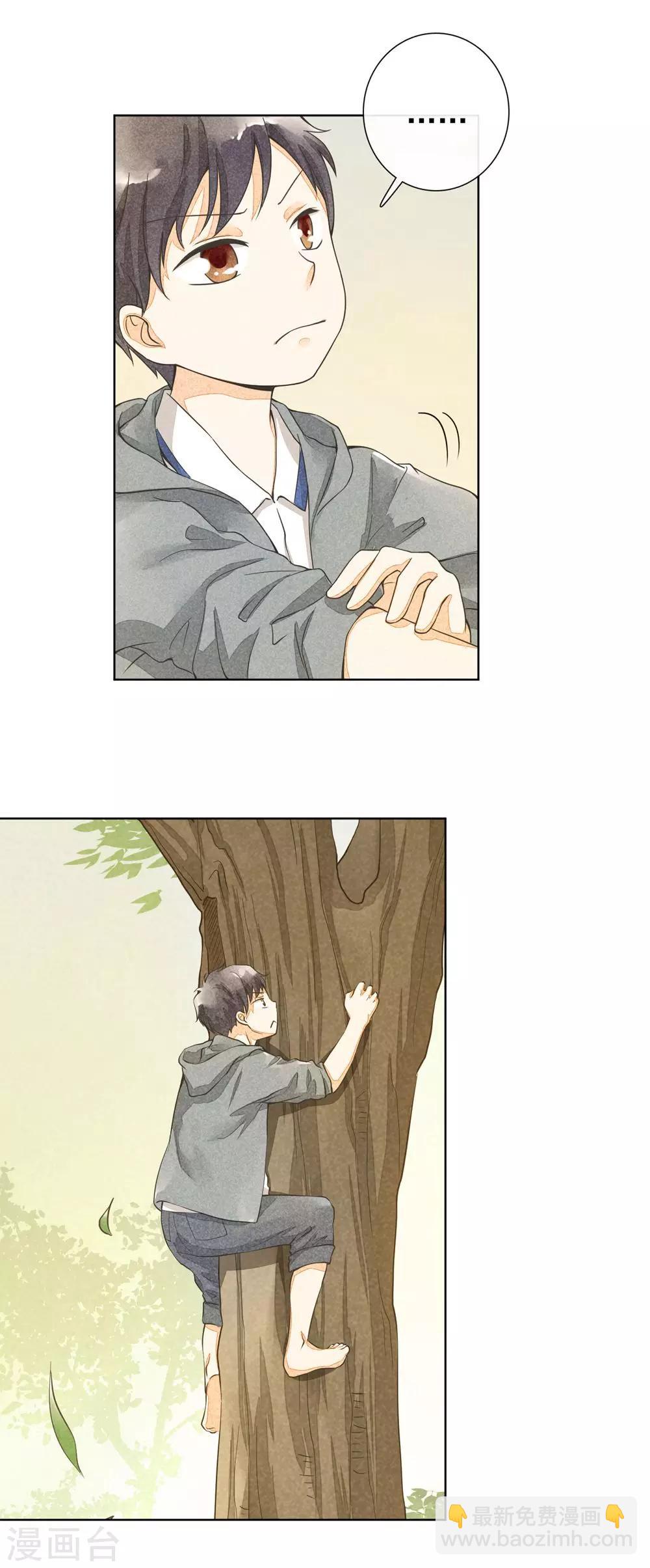 第26话 生命的阳光-第29话