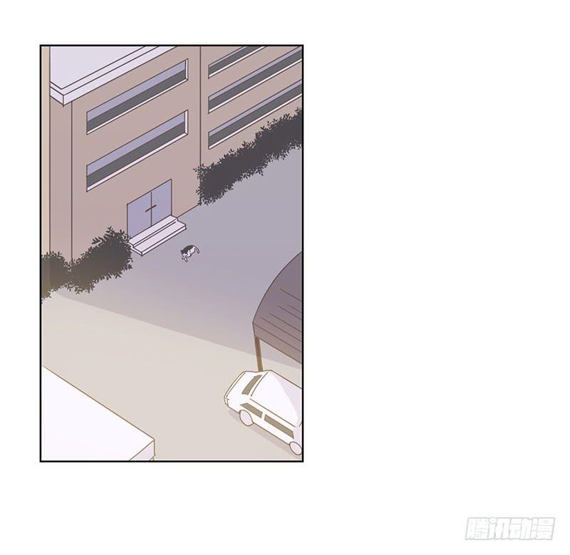 06.晨间插曲-第7话