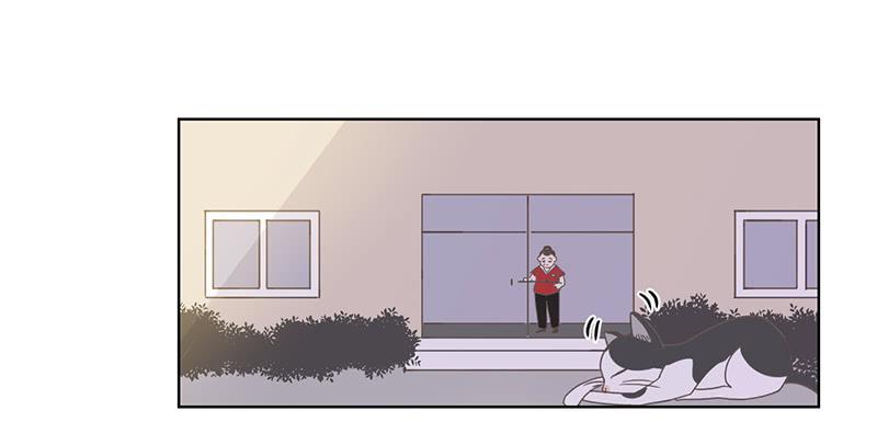 06.晨间插曲-第7话