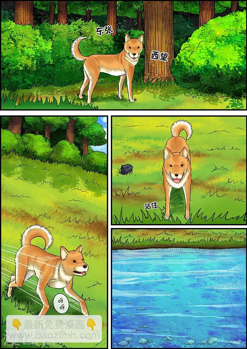 第29话 丹尼-第29话