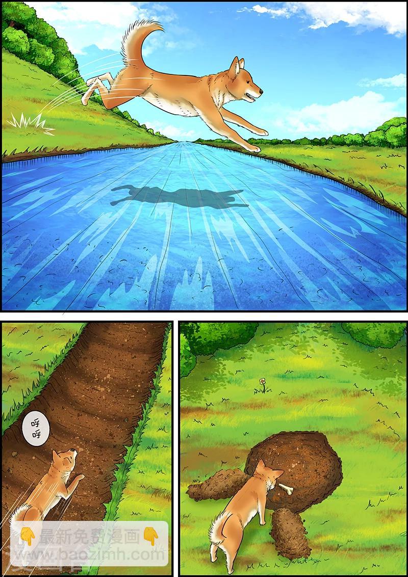 第29话 丹尼-第29话