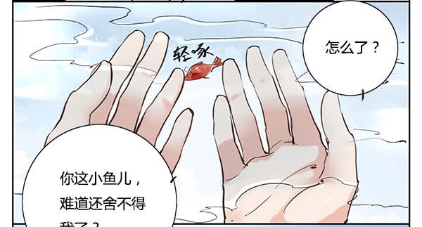 神鱼坠凡-第11话