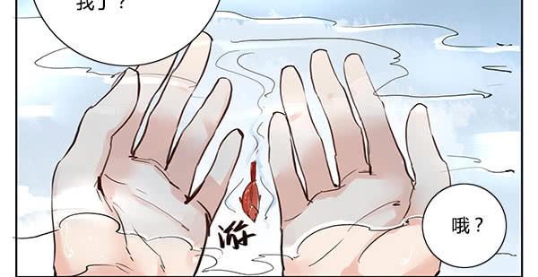 神鱼坠凡-第11话