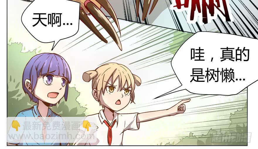 奇葩动物在这里(1/2)-第1话