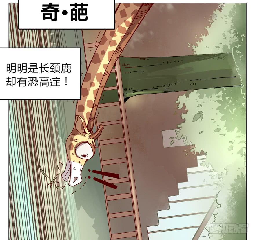 奇葩动物在这里(1/2)-第1话