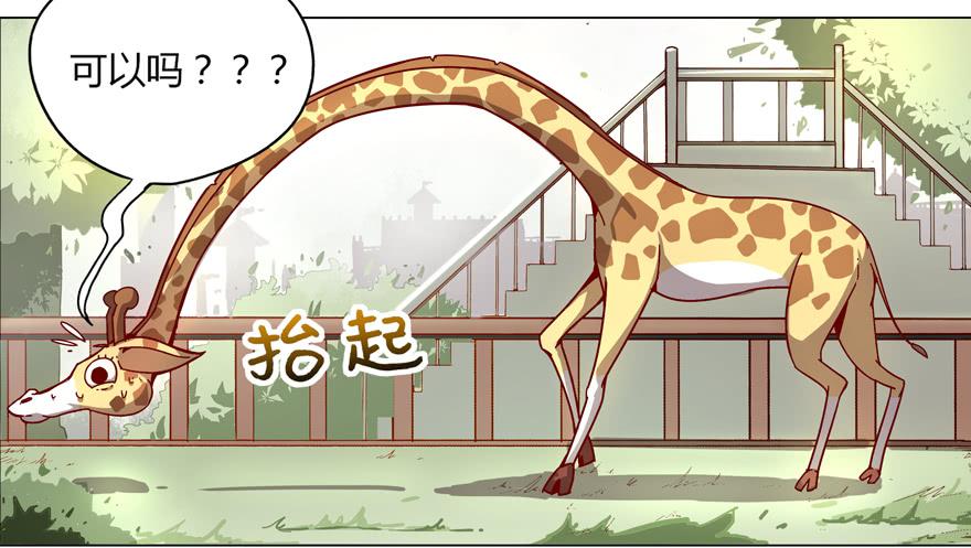 奇葩动物在这里(1/2)-第1话