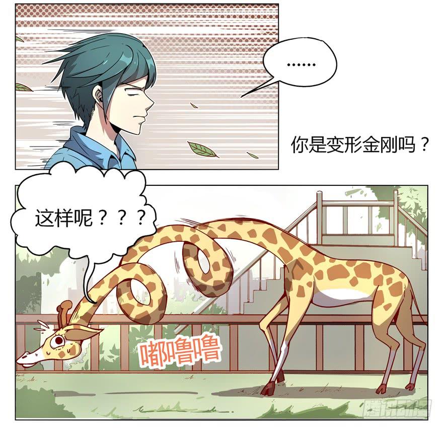 奇葩动物在这里(1/2)-第1话