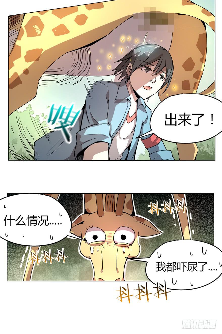 奇葩动物在这里(1/2)-第1话