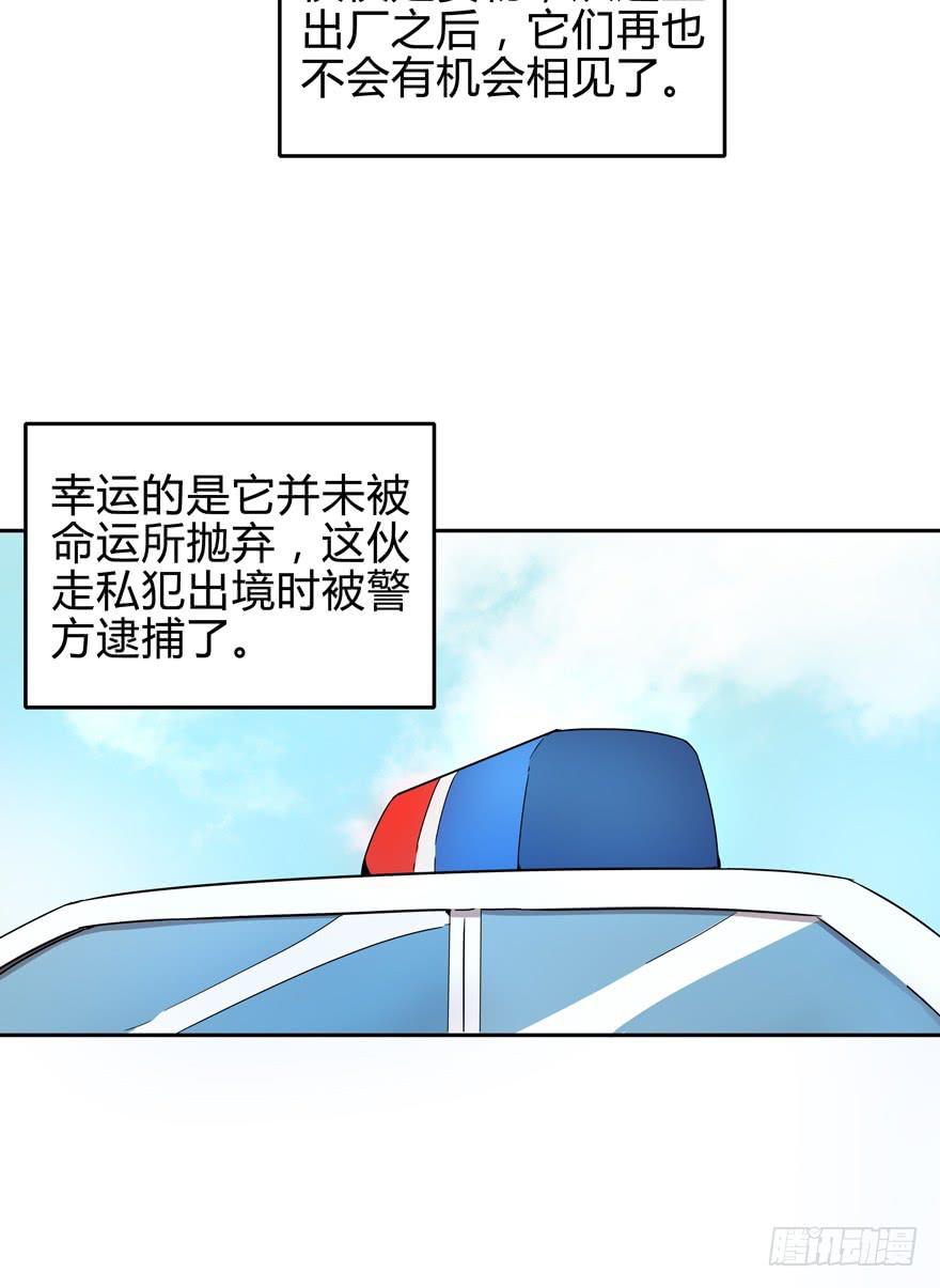 只有食物给你真实的回报-第11话