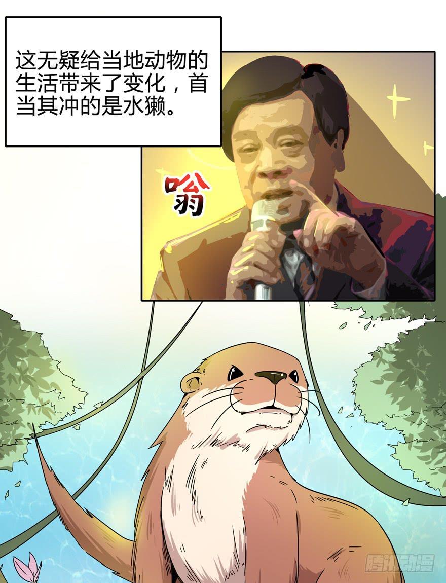 只有食物给你真实的回报-第11话