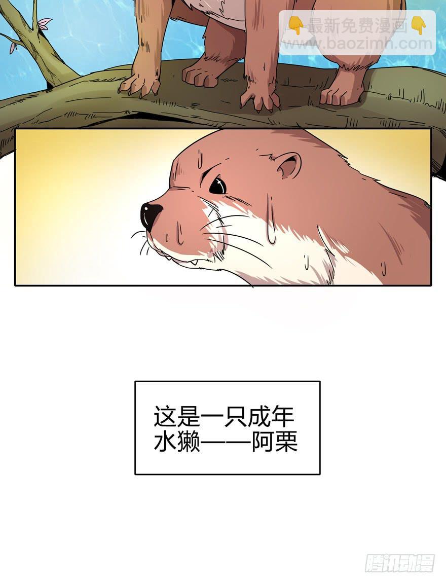 只有食物给你真实的回报-第11话