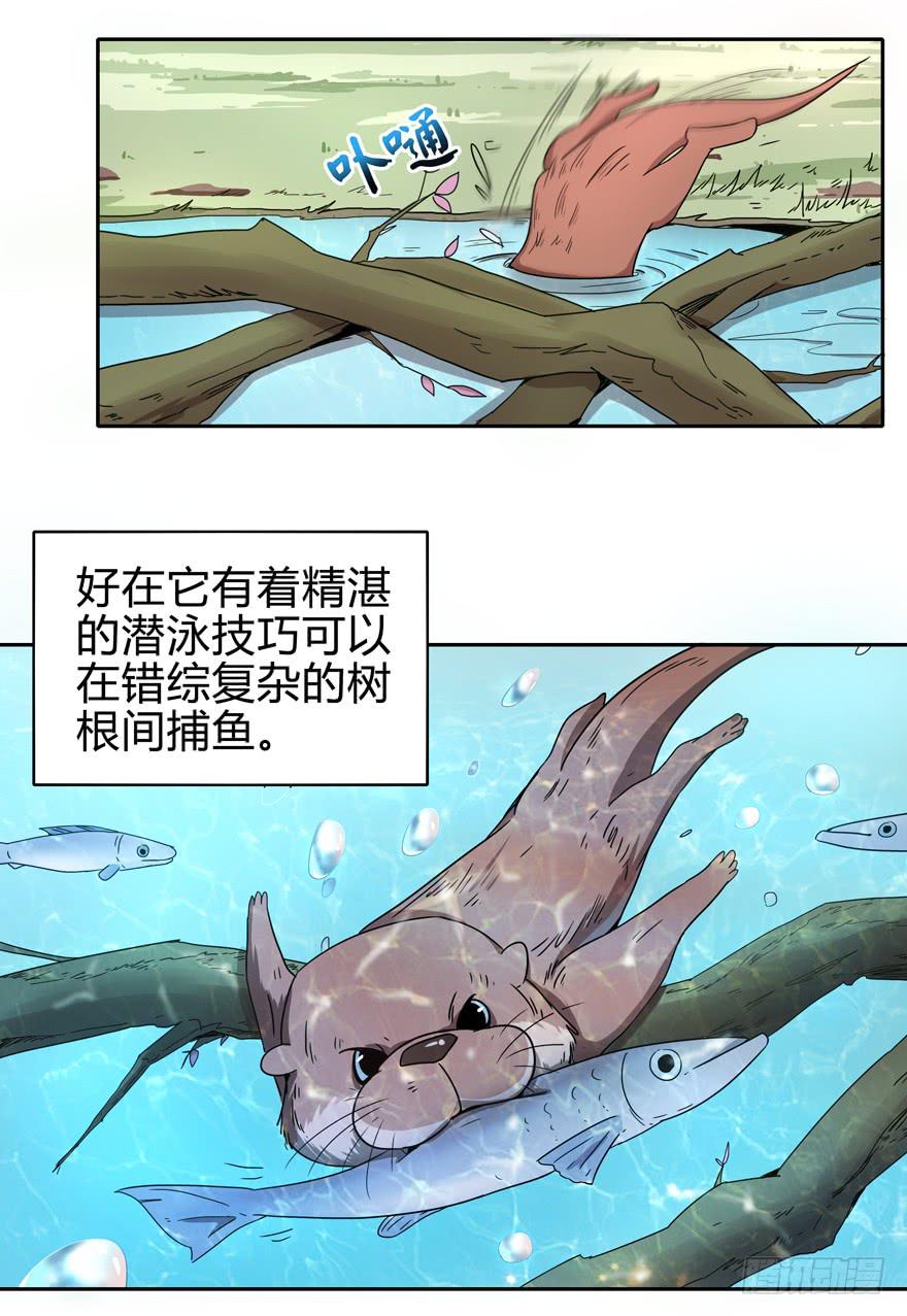 只有食物给你真实的回报-第11话