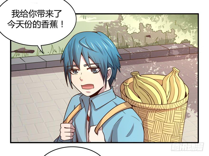 绝对领域是绝对不能看的领域-第57话