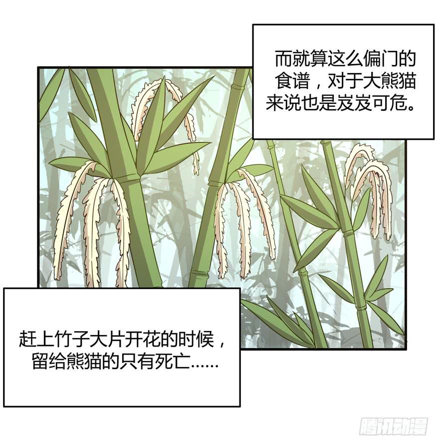 身被芙蓉18