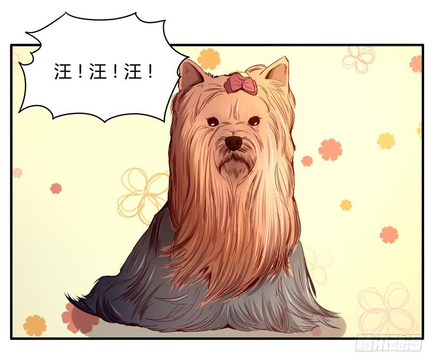 世界有我们许多不懂的地方(1/2)-第63话