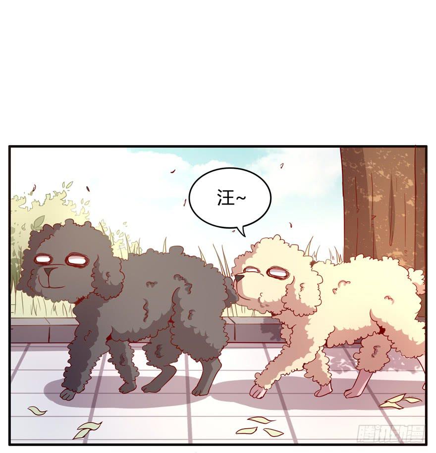 世界有我们许多不懂的地方(1/2)-第63话