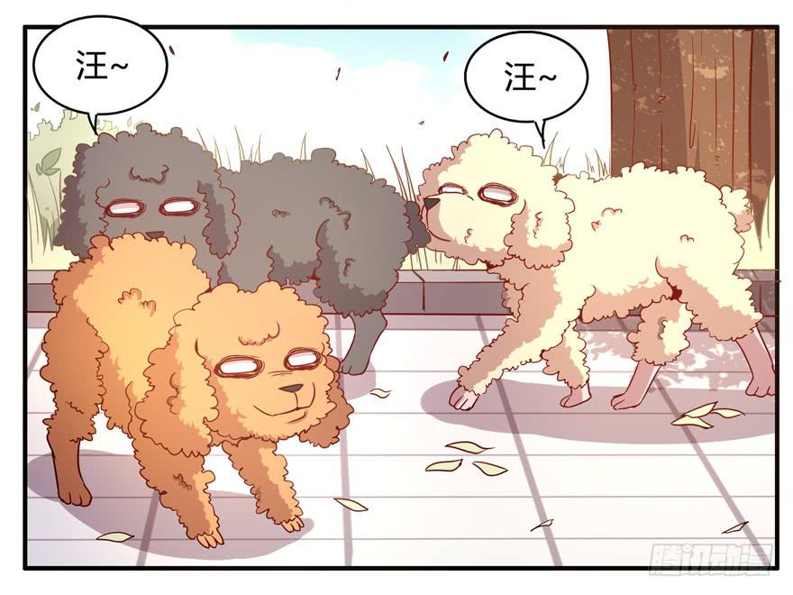 世界有我们许多不懂的地方(1/2)-第63话