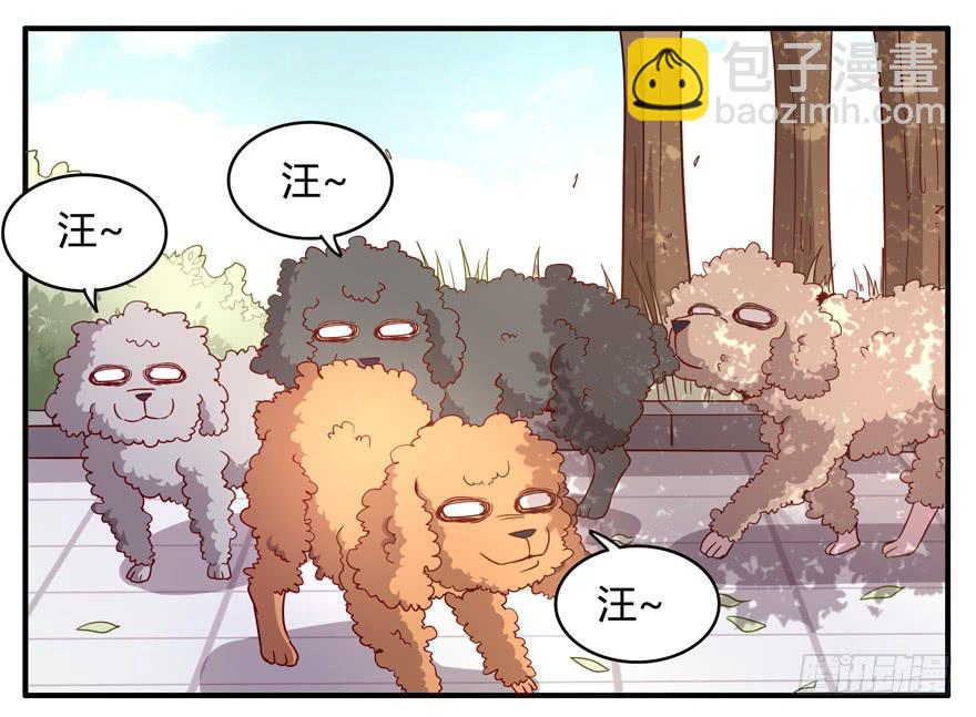 世界有我们许多不懂的地方(1/2)-第63话