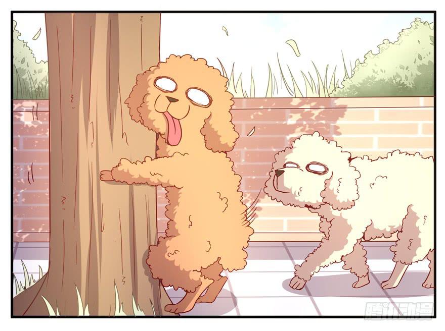 世界有我们许多不懂的地方(1/2)-第63话