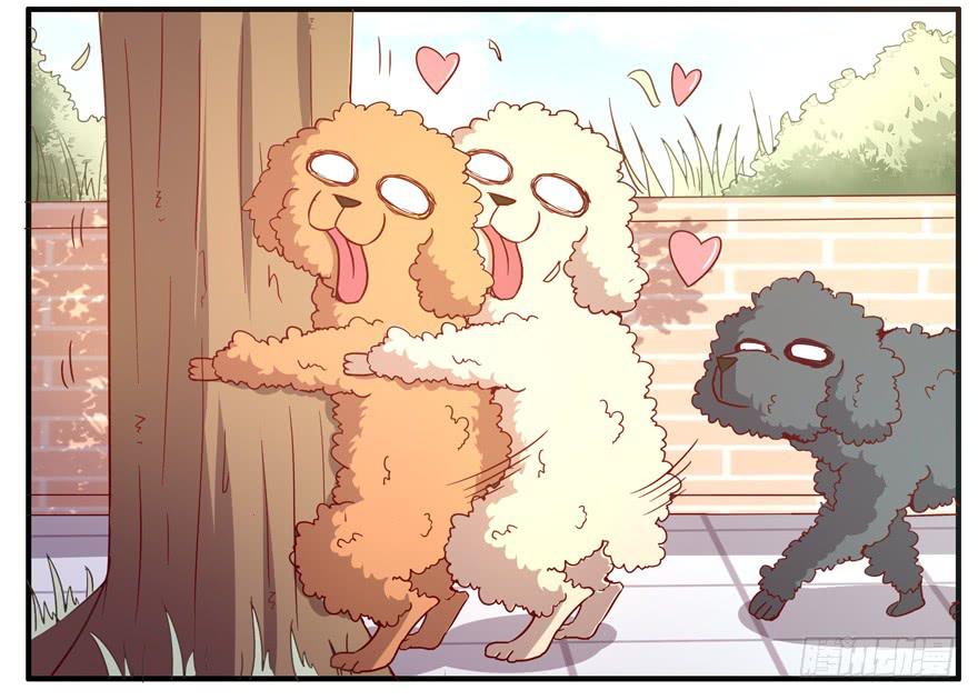 世界有我们许多不懂的地方(1/2)-第63话