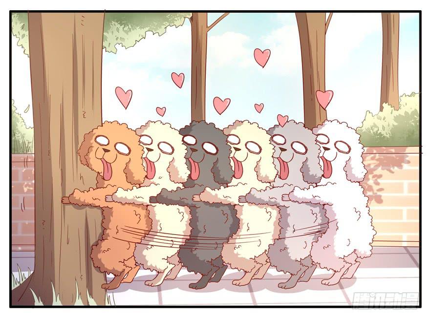 世界有我们许多不懂的地方(1/2)-第63话