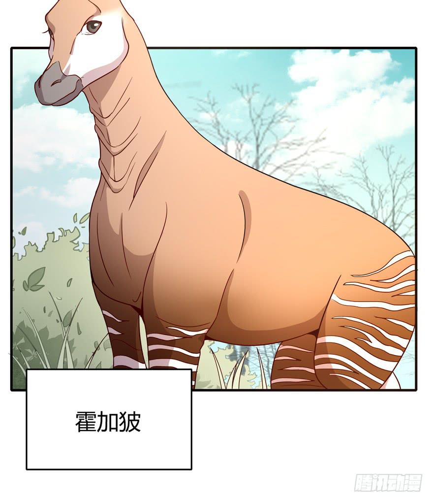 食梦兽----貘(1/2)-第73话