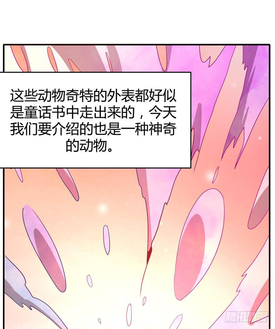 食梦兽----貘(1/2)-第73话