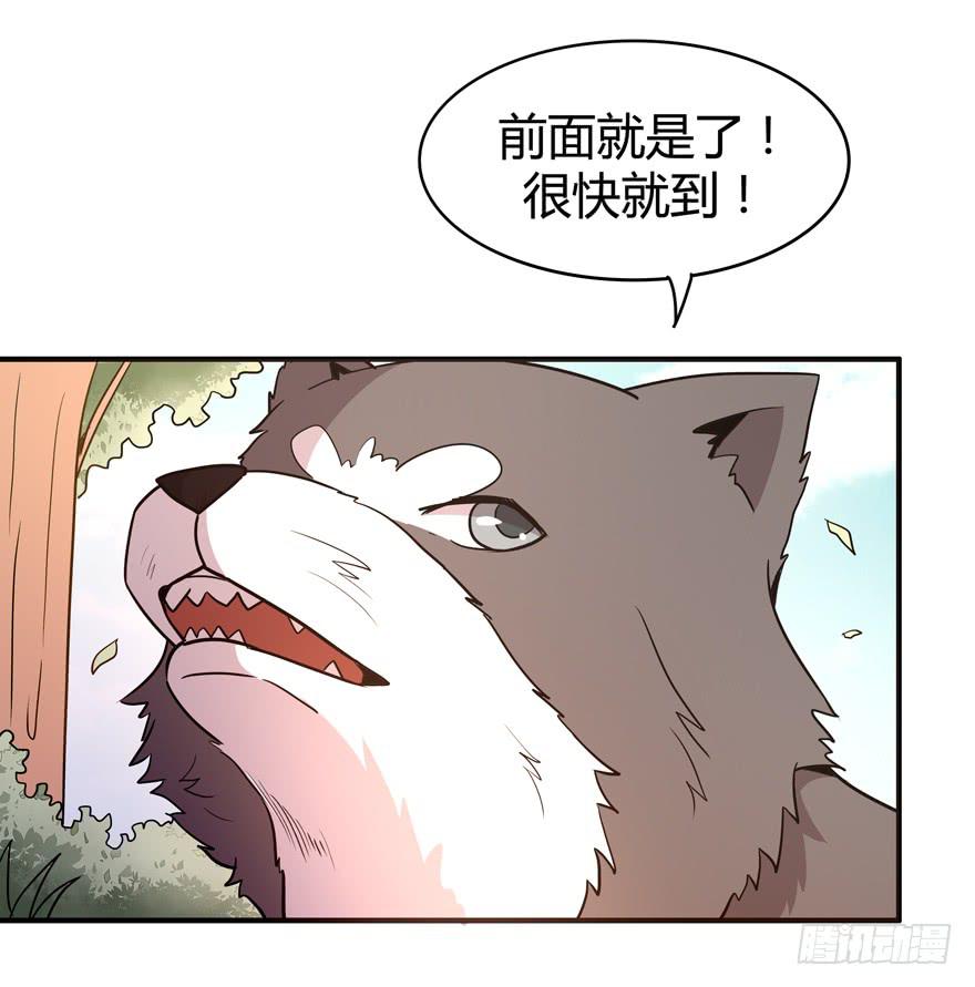 王二哈的身世之谜-第75话