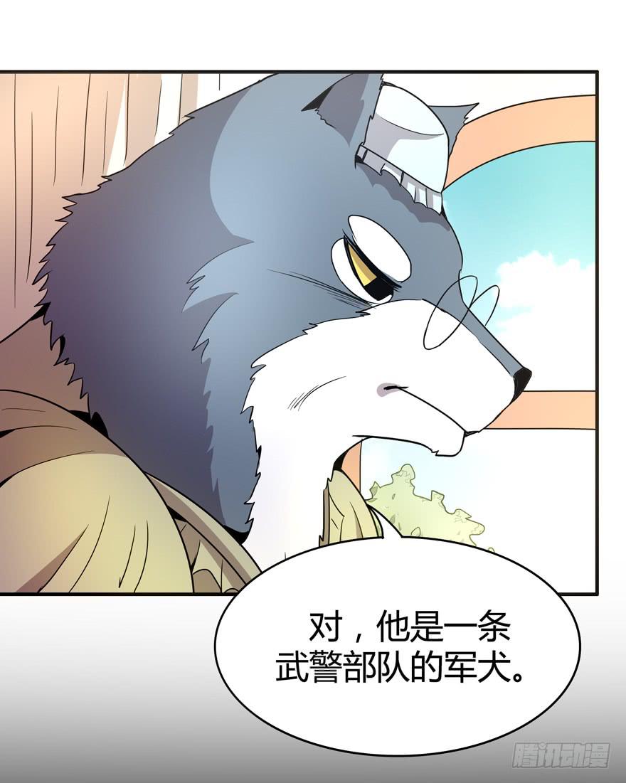 王二哈的身世之谜-第75话