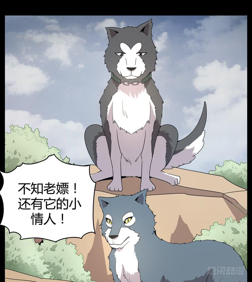 老嫖（下）(1/2)-第77话