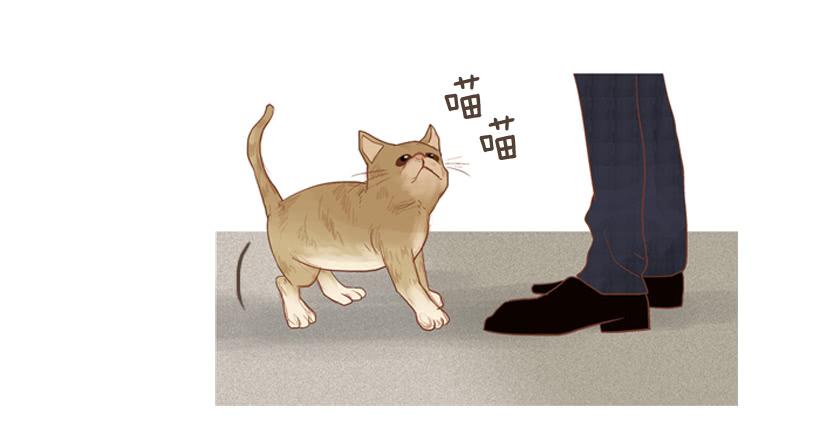 我帮不了你(1/2)-第15话