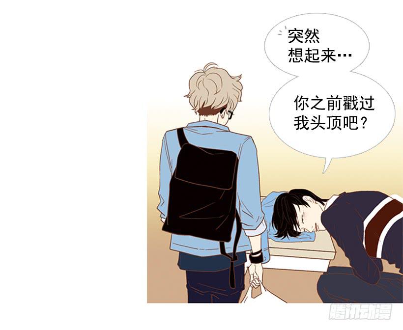 屋顶有个发疯的鸡-第23话