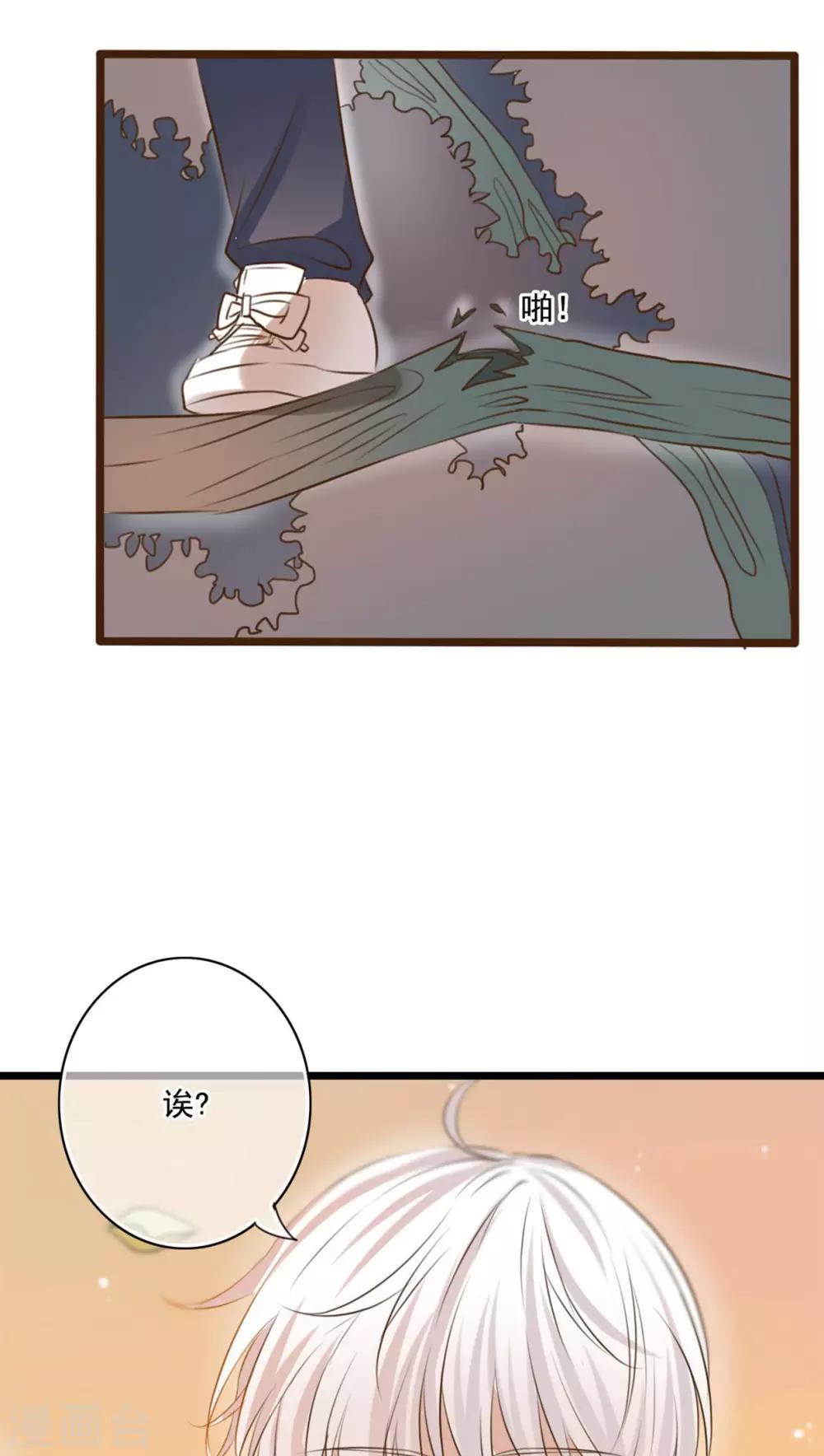 第7话 晴天的小秘密1-第7话