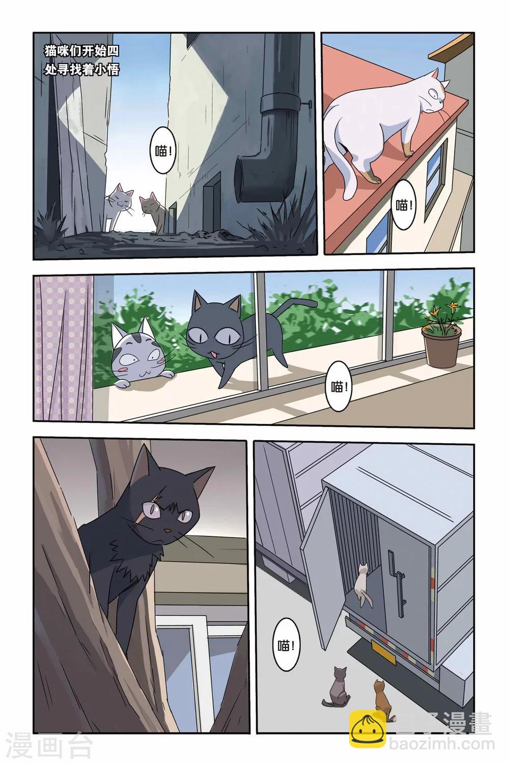 第09话 寻找小悟-第9话