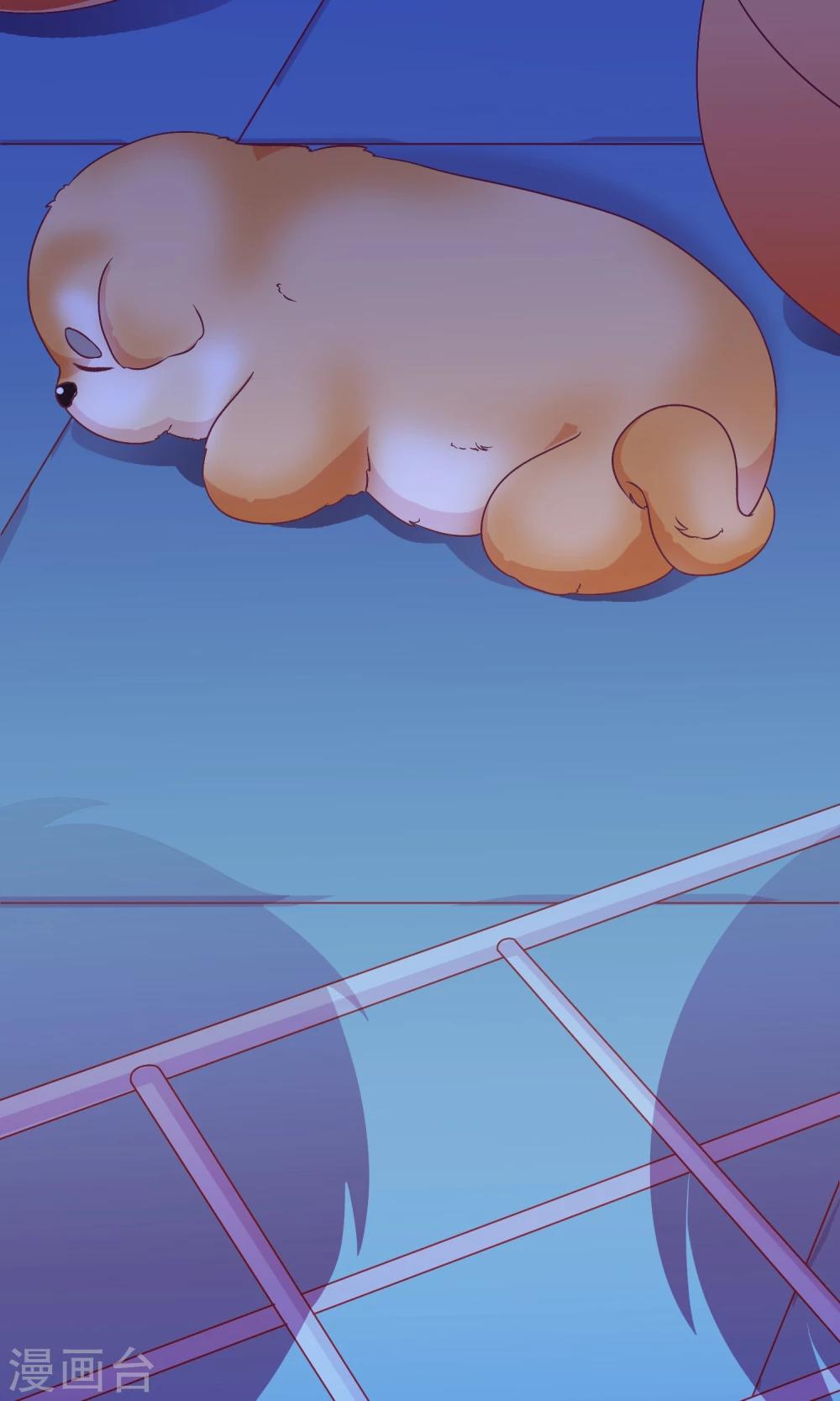 第22话 恶作剧？！-第23话