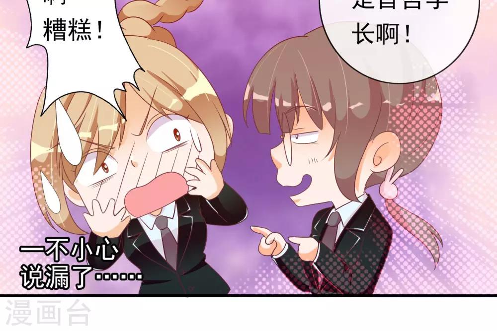 第24话 小奶猫-第25话