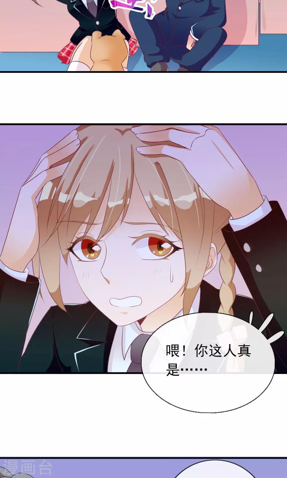 第24话 小奶猫-第25话