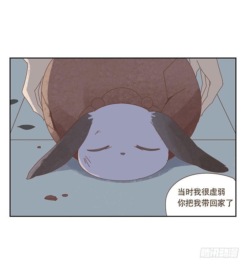 與兔共枕 - 秘密 - 3