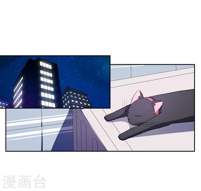 第1话 夜遇死猫？-第1话