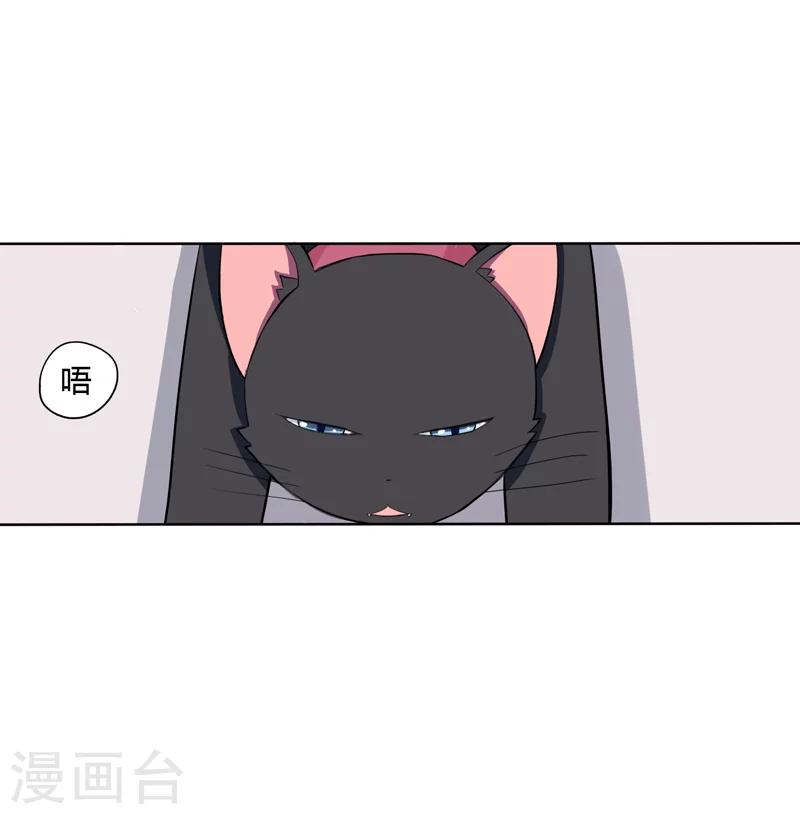 第1话 夜遇死猫？-第1话